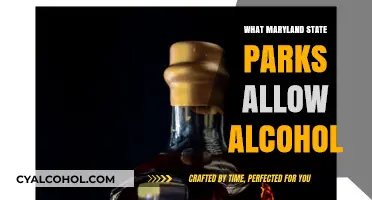 Maryland State Parks Alcohol Policy: Where You Can Enjoy Responsibly