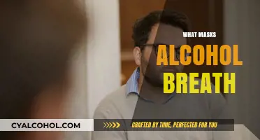 Effective Ways to Conceal Alcohol Breath: Tips and Tricks