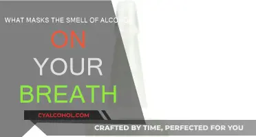 Masking Alcohol Breath: Quick Fixes and Long-Term Solutions