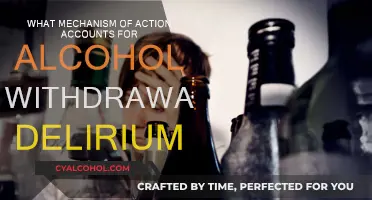 Alcohol Withdrawal Delirium: Understanding the Underlying Mechanisms