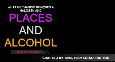 Understanding the Intricacies of Halogen Removal and Alcohol Placement