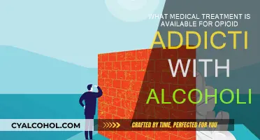 Effective Treatment for Opioid and Alcohol Addiction