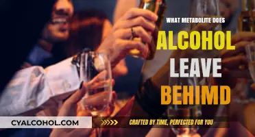Unveiling Alcohol's Hidden Trace: Key Metabolites Left Behind Explained
