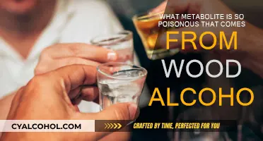 The Deadly Metabolite: Wood Alcohol's Poisonous Legacy