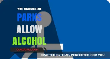 Michigan State Parks Alcohol Policy: Where You Can Enjoy Responsibly