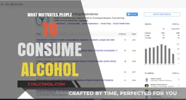 Exploring the Complex Motivations Behind Alcohol Consumption in Society