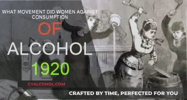 Women's Temperance Movement: A Powerful 1920s Protest