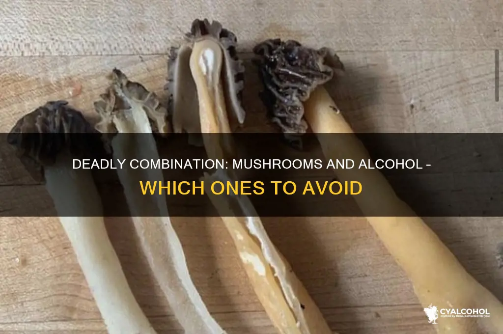 what mushroom is poisonous with alcohol