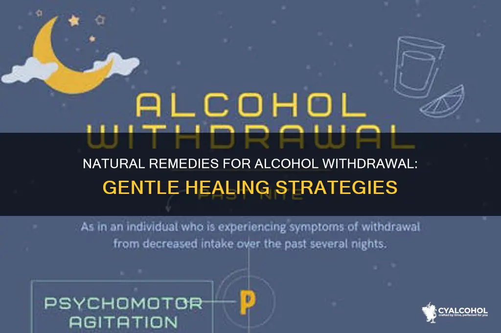 what natural remedies for alcohol withdral