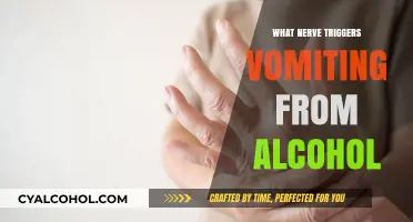 Alcohol-Induced Vomiting: Unraveling the Nerve Triggers Behind the Reflex