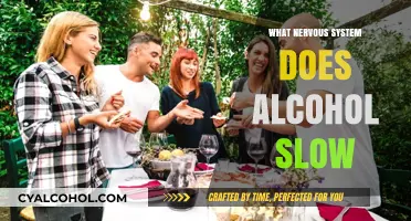 How Alcohol Slows Your Nervous System: Effects and Risks Explained