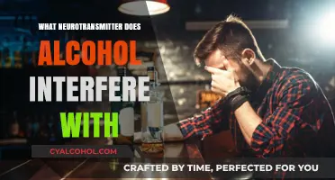 Alcohol's Impact: Unraveling the Neurotransmitter Disruption in the Brain