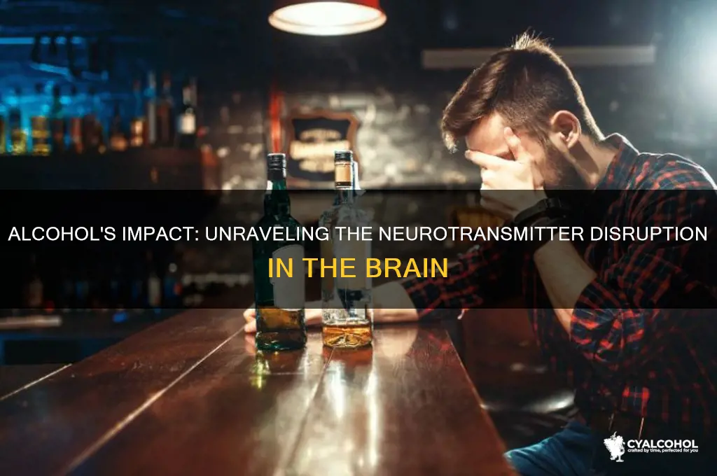 what neurotransmitter does alcohol interfere with