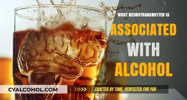 Alcohol's Neurochemical Link: Unveiling the Role of GABA and Dopamine