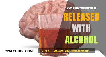 Alcohol's Neurochemical Impact: Unveiling the Key Neurotransmitter Released