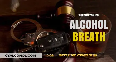 Effective Ways to Neutralize Alcohol Breath Quickly and Naturally