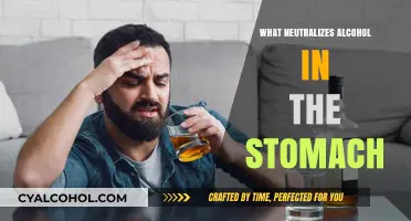 Neutralizing Alcohol in the Stomach: Effective Methods and Remedies