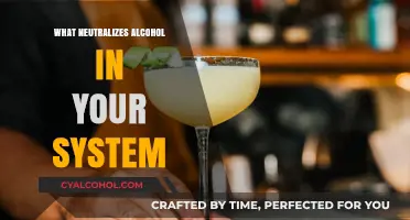 Effective Ways to Neutralize Alcohol in Your System Quickly and Safely