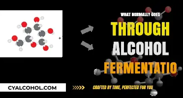 Unveiling Alcohol Fermentation: Key Steps and Transformations Explained