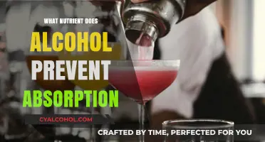 Alcohol's Hidden Impact: Nutrient Absorption Blocked by Drinking