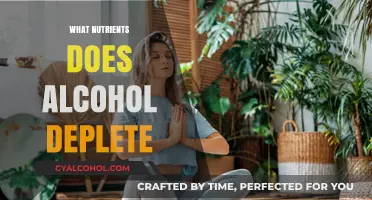Alcohol's Hidden Toll: Nutrients Depleted by Drinking and How to Replenish