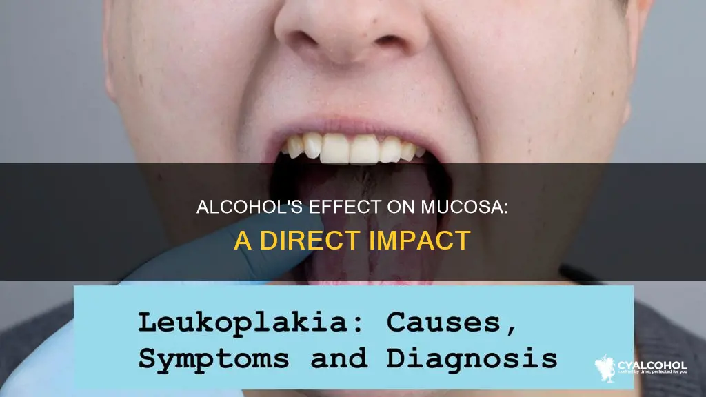 what occurs when alcohol comes in contact with mucosa