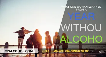 A Sober Year: One Woman's Journey and Lessons Learned