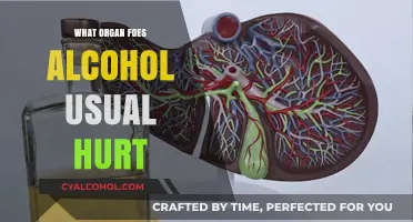 How Alcohol Primarily Damages the Liver and Other Vital Organs