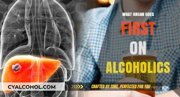 Alcohol's First Target: The Organ Most Vulnerable in Alcoholics