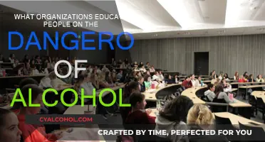 Alcohol Education: Who's Teaching Us About the Dangers?