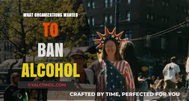 The Prohibition Push: Organizations Advocating for Alcohol Bans