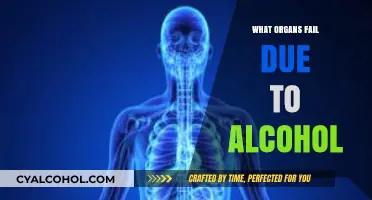Alcohol's Devastating Impact: Which Vital Organs Fail Due to Excessive Drinking?