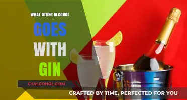 Perfect Gin Pairings: Exploring Complementary Alcohol Mixers for Your Gin