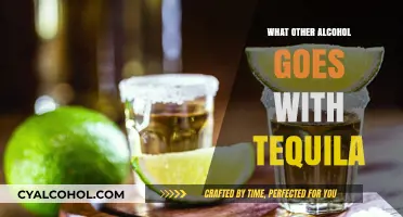 Mixing Tequila: Best Alcohol Pairings for Smooth Cocktails and Shots