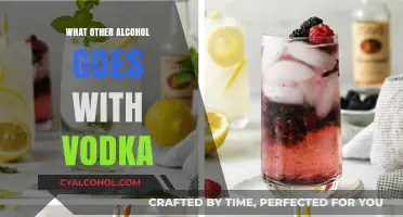 Mixing Vodka: Best Alcohol Pairings for Smooth Cocktails and Shots