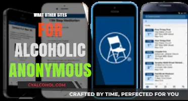Exploring Alternative Online Platforms for Alcoholics Anonymous Support