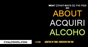 Unusual Ways Pigs Source Alcohol