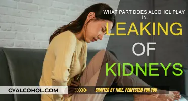 Alcohol's Role in Kidney Leaks