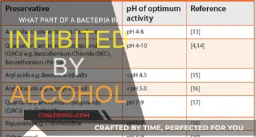 Alcohol's Impact on Bacteria: Understanding the Inhibition