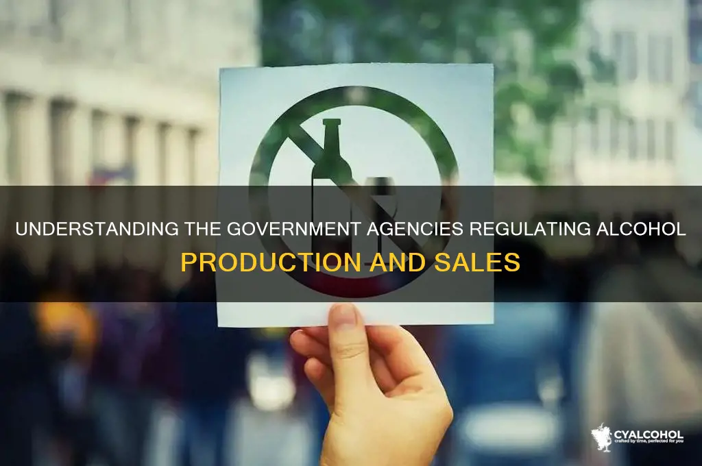 what part of government runs alcohol
