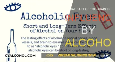Alcohol's Impact: Understanding Brain Regions Affected