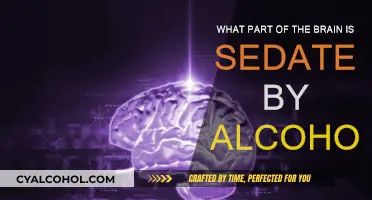 Alcohol's Impact: Sedating the Brain