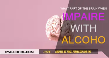 Alcohol's Impact: Brain Regions and Their Functions
