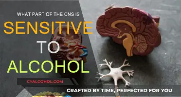 Alcohol's Impact: CNS Sensitivity and You