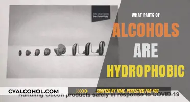Hydrophobic Nature of Alcohols: Understanding the Non-Polar Components