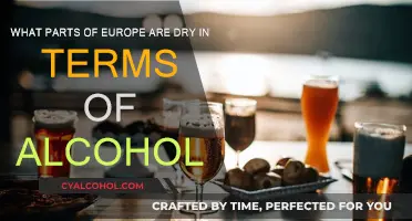 Alcohol-Free Zones: Exploring Dry Regions in Europe