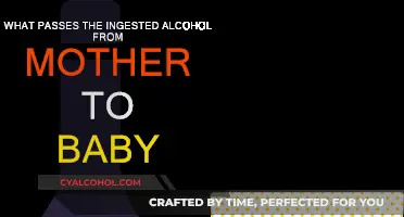 How Alcohol Travels from Mother to Baby