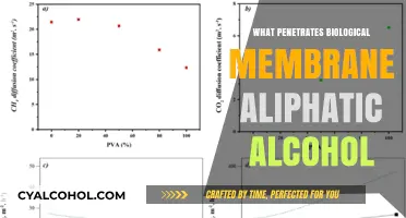 Aliphatic Alcohols: How They Penetrate Biological Membranes Explained