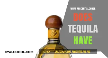 Understanding Tequila's Alcohol Content: What Percent Does It Typically Contain?