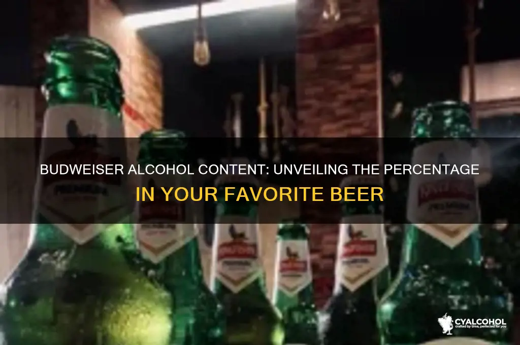 what percent alcohol is budweiser